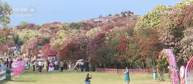 “繁荣”“繁花”“繁华”！清明假期，文旅消费释放蓬勃动能